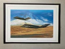 Listing image for MILITARY AVIATION PRINT- DARKNESS VISIBLE: F-117 STEALTH FIGHTERS 1988